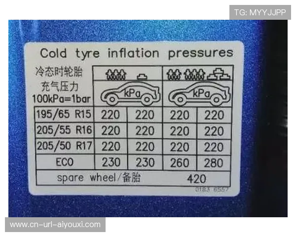 雨战策略成焦点：专家分析轮胎选择与气压设定